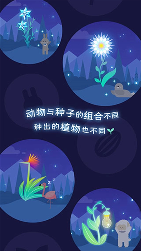 夜之森游戏中文版截图2