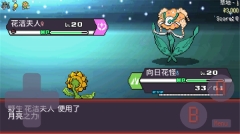 宝可梦肉鸽妖梦最新版