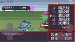 宝可梦肉鸽妖梦最新版
