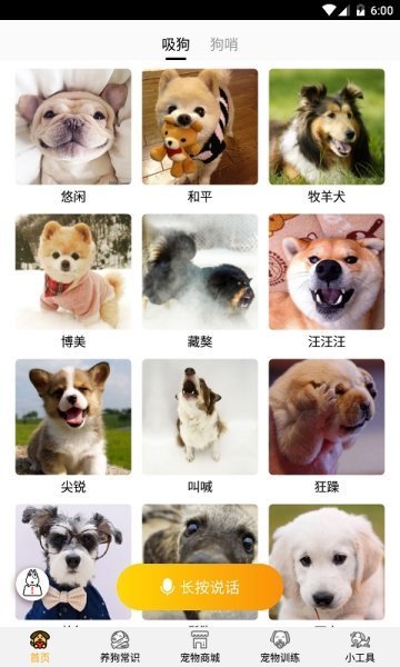 跑狗翻译截图1