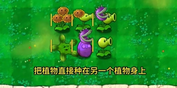 植物大战僵尸嫁接版手游版