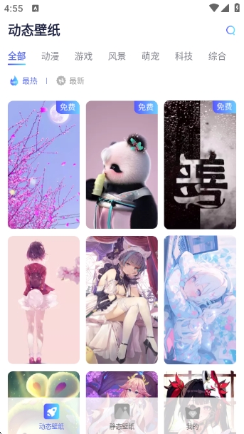 哇叽壁纸
