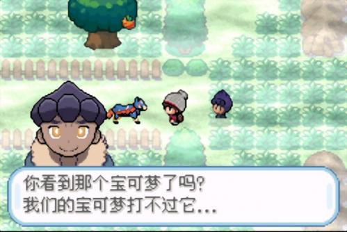口袋妖怪剑盾截图3