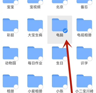DS文件管理器