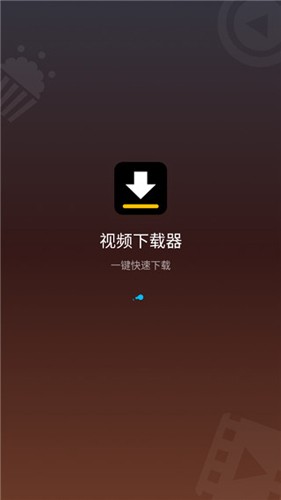 Video Downloader截图1