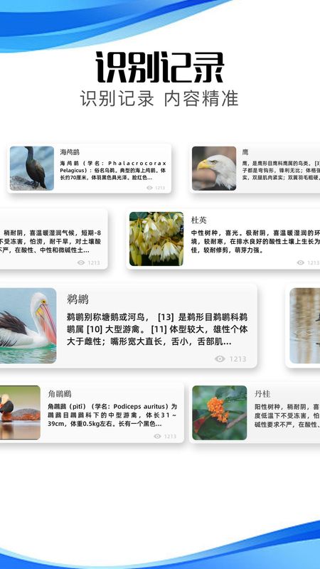 冷眸截图1
