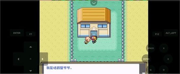 口袋妖怪燃之智gba汉化版