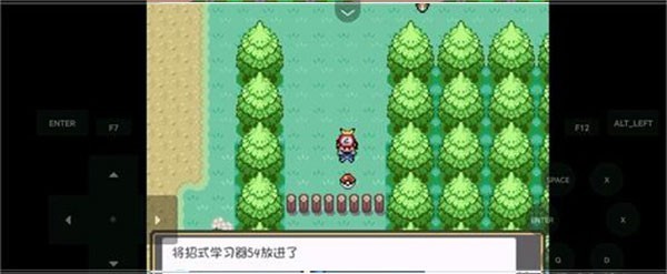 口袋妖怪燃之智gba汉化版