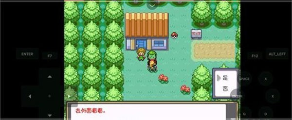 口袋妖怪燃之智gba汉化版