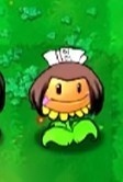 植物大战僵尸火影版