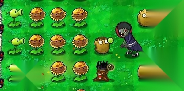 植物大战僵尸火影版