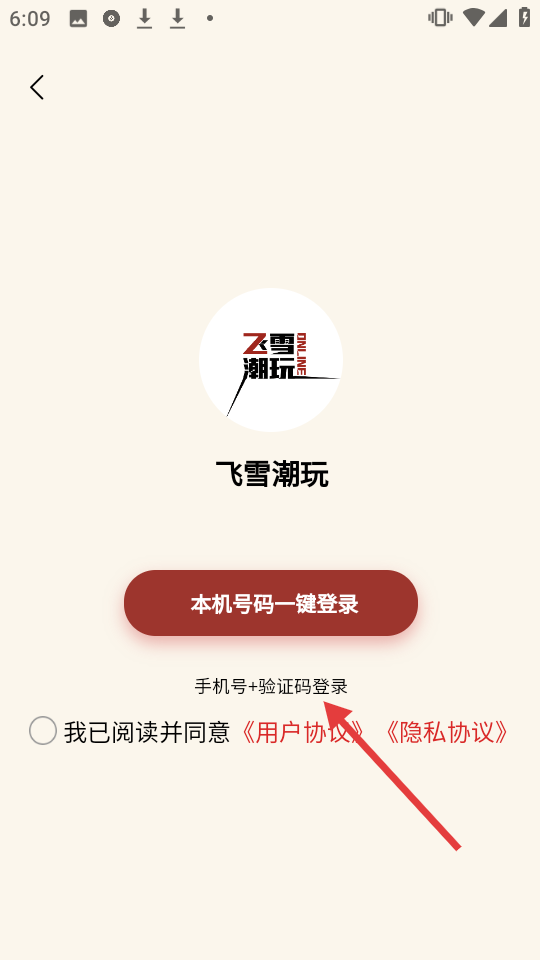 飞雪潮玩