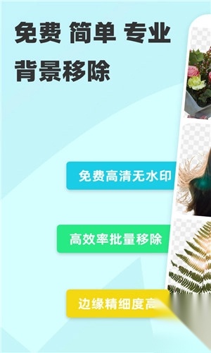 椰子背景截图1