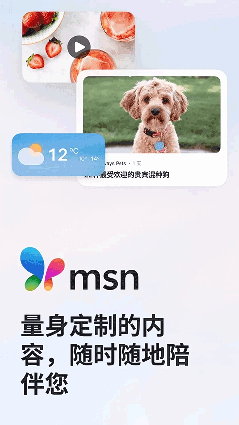MSN手机版截图2