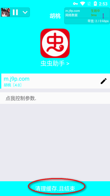 胡桃弱网参数版