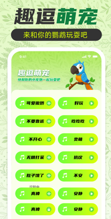 鹦鹉翻译助手截图4