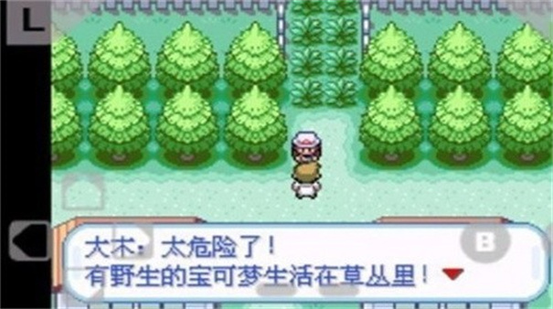 口袋妖怪火红手机版截图2