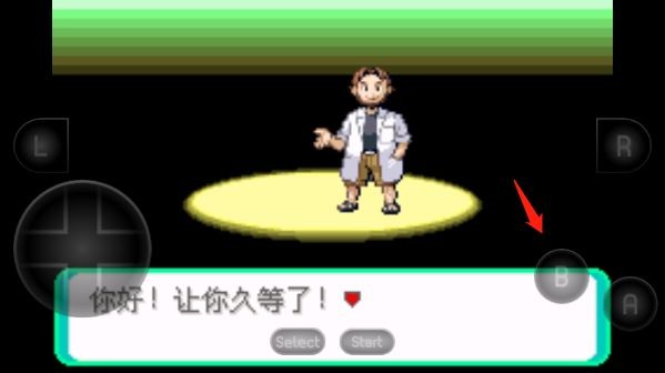 口袋妖怪失落之古迹中文版