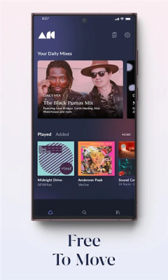 roon arc截图1