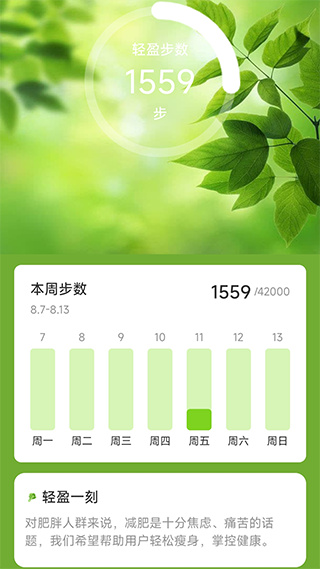 轻盈计步截图0