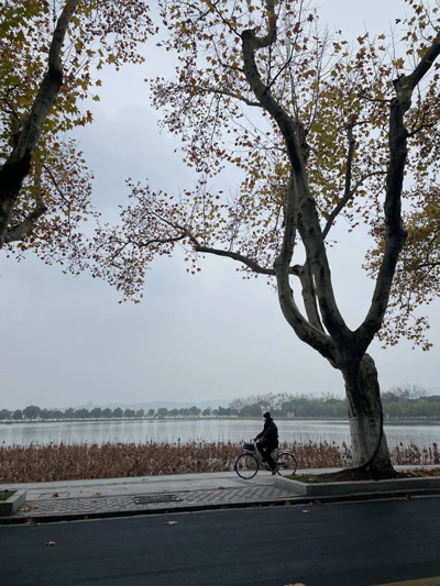 snapseed鸿蒙版