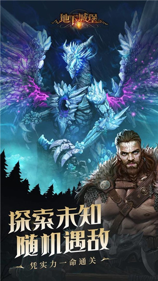 地下城堡2：黑暗觉醒安卓版截图4