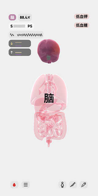 生命life