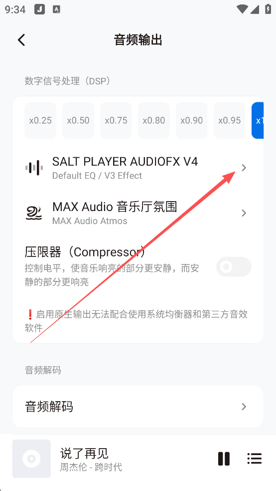 Salt Player音乐播放器最新版