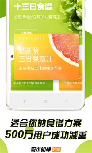 哥本哈根减肥截图0