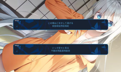 GINKA汉化版