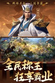 三国志战棋天下截图1