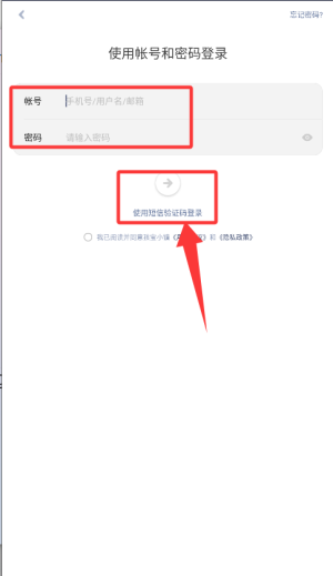 孩宝小镇