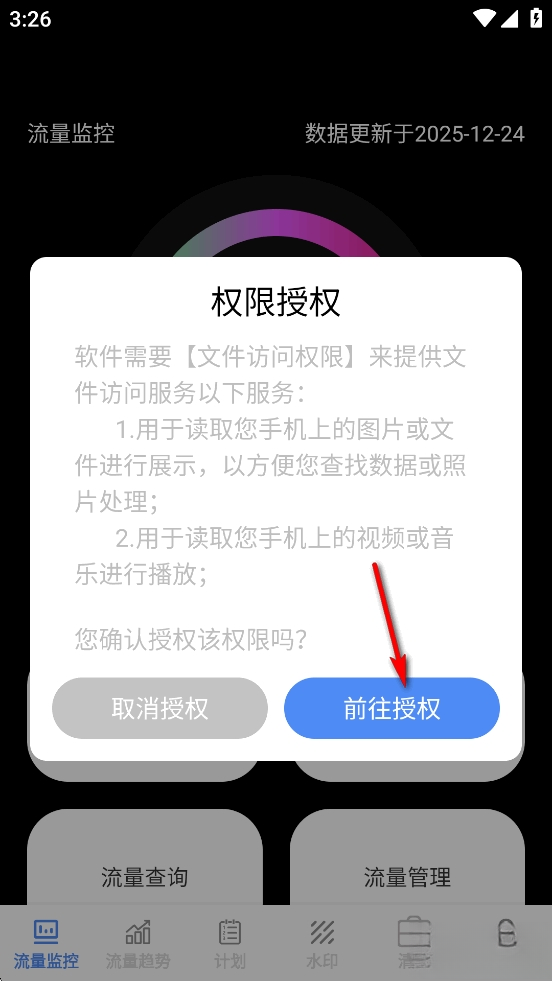 雷灵迅流精灵