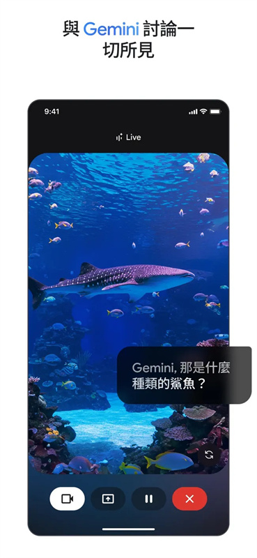 gemini截图0