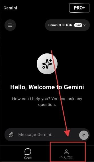 gemini