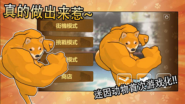 动物之斗正版截图2