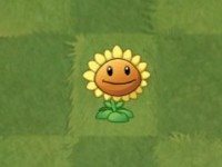 plantsvszombies国际版