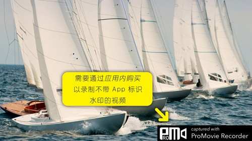 promovie正版截图4
